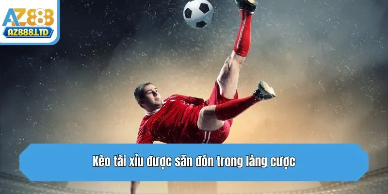 Kèo tài xỉu được săn đón trong làng cược